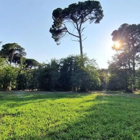 Pineta E Mare - By Belcantovillas * Viareggio
